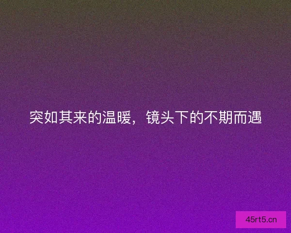突如其来的温暖，镜头下的不期而遇